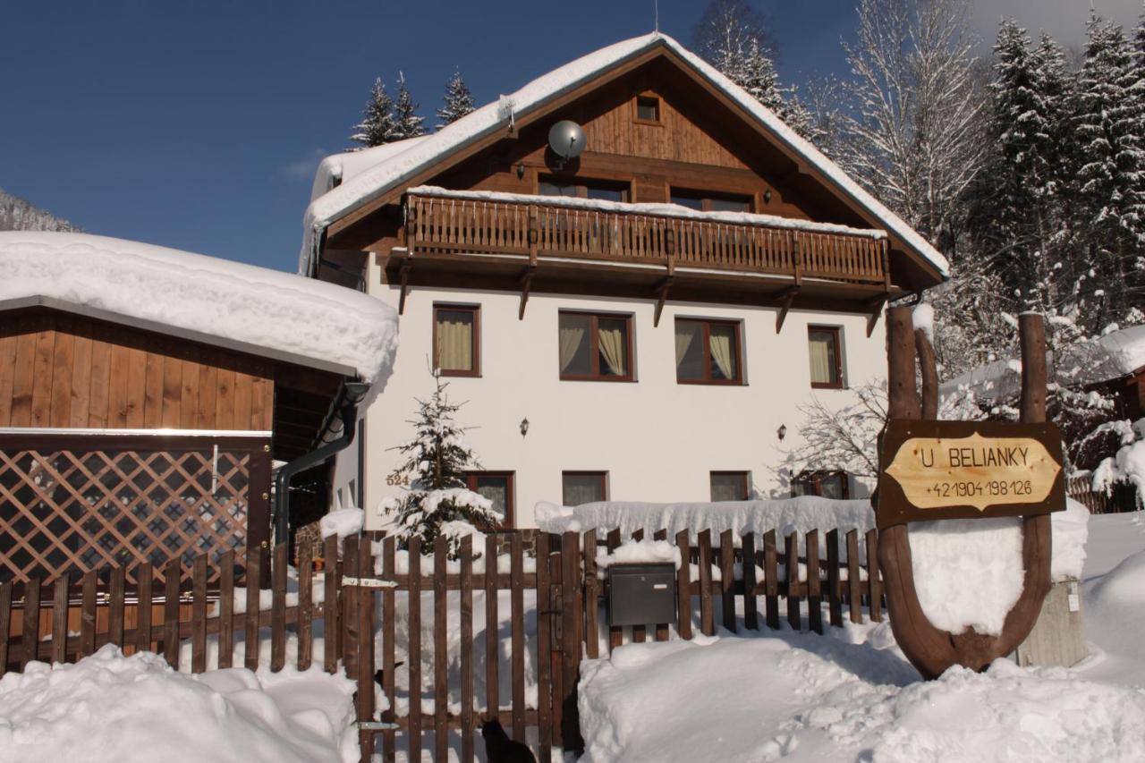 U Belianky Apartment Terchová Екстериор снимка